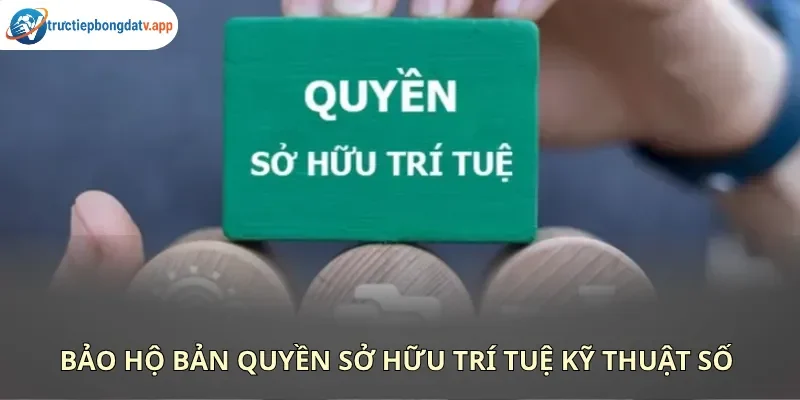 Chính sách bản quyền được thiết lập nhằm bảo vệ quyền lợi và tài nguyên số của hệ thống Chính sách bản quyền được thiết lập nhằm bảo vệ quyền lợi và tài nguyên số của hệ thống