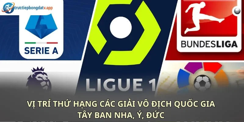Biến động vị trí của các đội được tính toán tự động bằng thuật toán chuẩn xác 