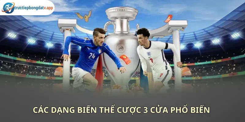 Các loại kèo 3 cửa trên bảng tỷ lệ bóng đá trực tuyến