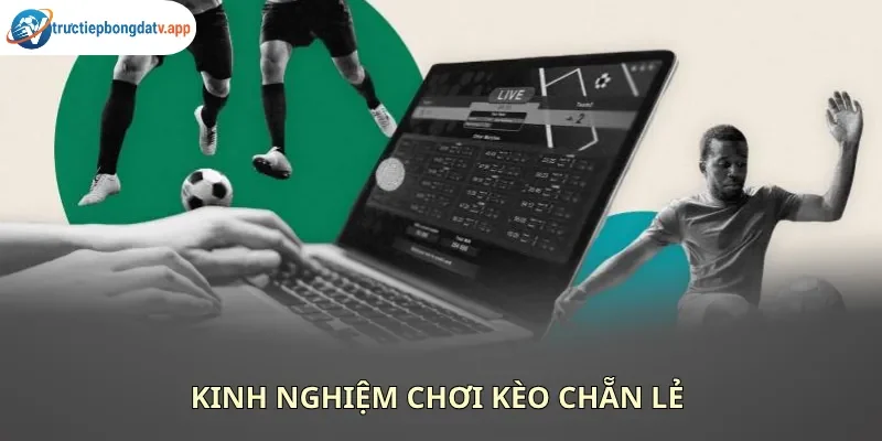 Kinh nghiệm thực chiến cá cược kèo chẵn lẻ