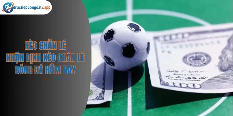 Kèo Chẵn Lẻ – Hướng Dẫn Phân Tích Tỷ Lệ Cược Bóng Đá Hôm Nay