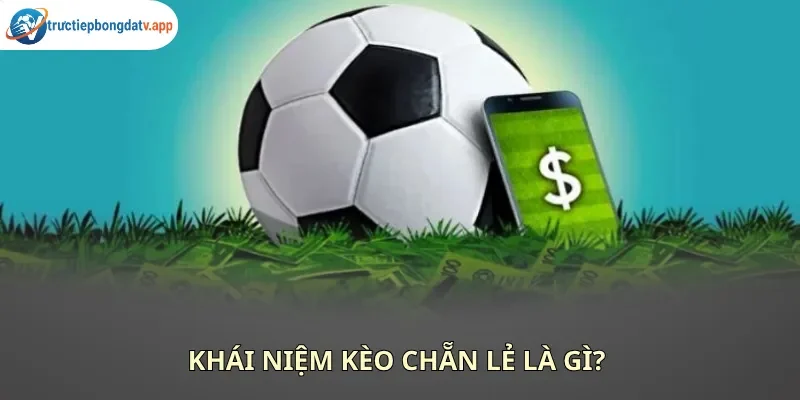 Kèo chẵn lẻ hoạt động dựa trên dự đoán tổng bàn thắng 1 trận