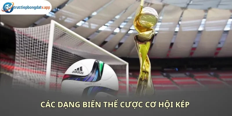 Các loại kèo cơ hội kép phổ biến trên thị trường
