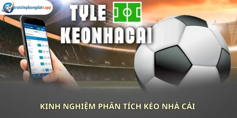 Các ký hiệu trực quan giúp người xem dễ dàng phân định xu hướng biến động của bảng cược