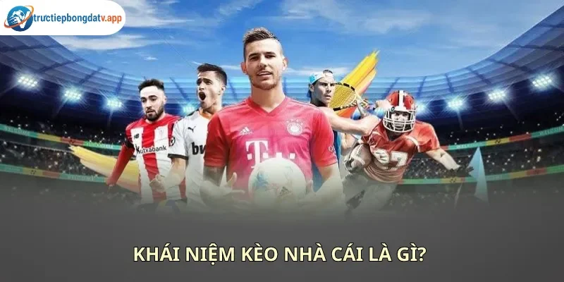 Kèo nhà cái mang đến tỷ lệ cá cược các trận đấu bóng đá 