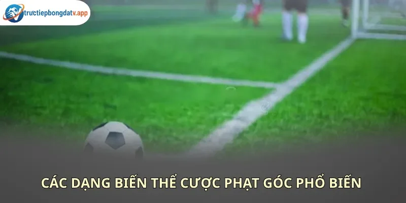 Bạn có thể lựa chọn nhiều loại kèo phạt góc khác nhau