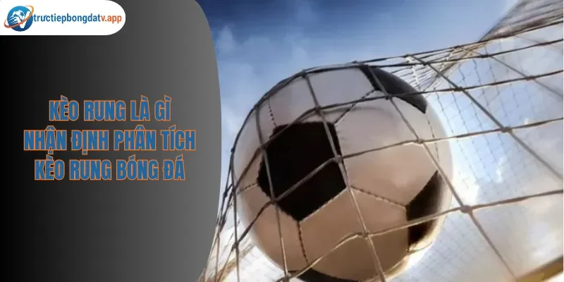 Kèo Rung Là Gì – Hướng Dẫn Chơi Tài 0,5 Trái Cuối Trận