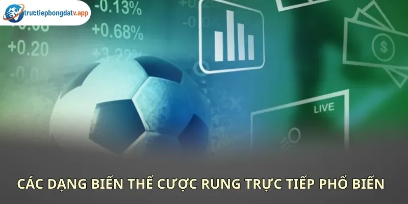 Tổng hợp hình thức cược rung