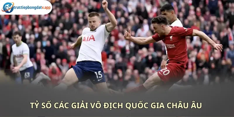Tỷ số các giải đấu lớn được cập nhật nhanh chóng 247 