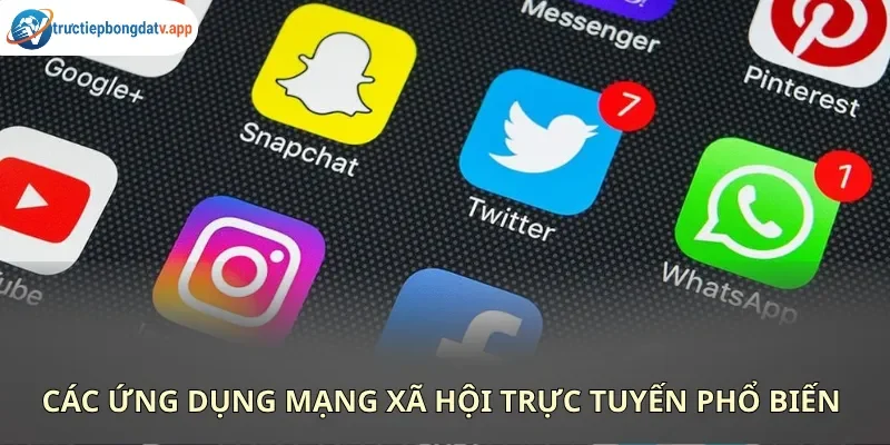 Bạn có thể liên hệ tổng đài viên qua mọi mạng xã hội phổ biến Bạn có thể liên hệ tổng đài viên qua mọi mạng xã hội phổ biến