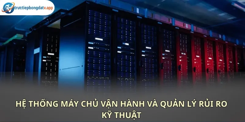 Website áp dụng chính sách bảo lưu nghĩa vụ đối với các sự cố đường truyền do lỗi nhà mạng