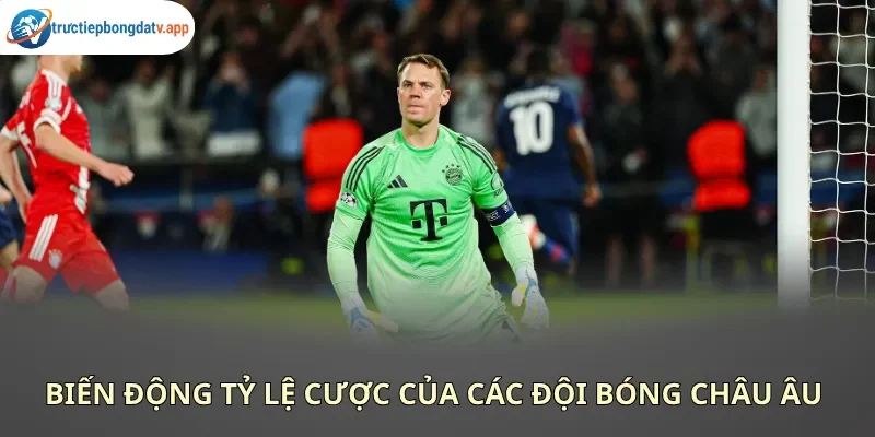 Soi kèo các giải VĐQG hàng đầu châu Âu và quốc tế