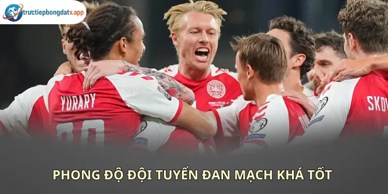 Đội tuyển Đan Mạch đang có phong độ tốt