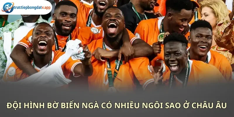 Bờ Biển Ngà có thể dựa vào tố chất của nhiều ngôi sao để làm nên bất ngờ