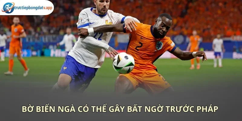Soi kèo Pháp vs Bờ Biển Ngà qua tỷ lệ nhà cái đưa ra Soi kèo Pháp vs Bờ Biển Ngà qua tỷ lệ nhà cái đưa ra