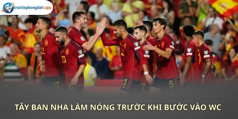 Đương kim vô địch Euro Tây Ban Nha đã sẵn sàng trở lại ngôi vương thế giới 