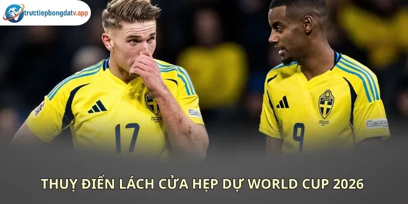 Thuỵ Điển trở lại World Cup sau nhiều lần ngã ngựa