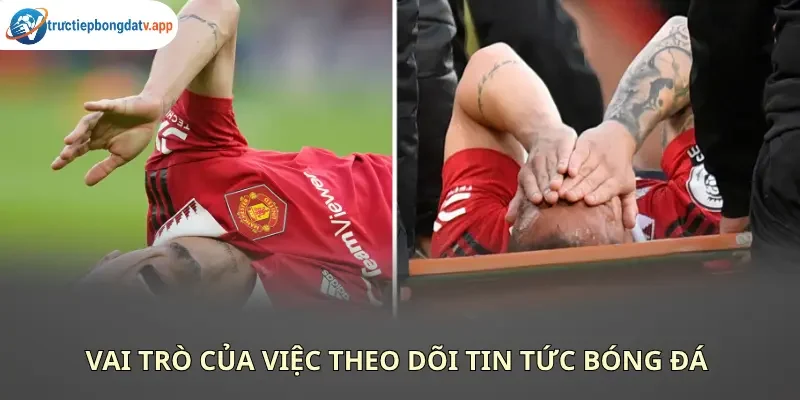 Chuyên mục tin tức cung cấp đầy đủ thông tin về các sự kiện thể thao nóng hổi trong ngày
